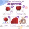 DWYYWSM Interactive Cat Ball Toys, Electric Pet Toy with Plush