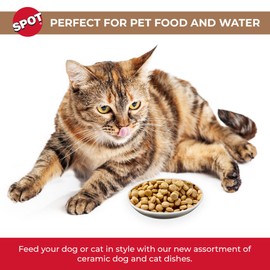 SPOT I Love Cats Round Cat Food Dish - Ceramic Plate with Low Edges, Saucer with Whisker-Friendly Shape and Low Profile Sides, Ideal for Wet or Dry Cat Food, Dishwasher Safe- 5 inch- 1 Cup (8Oz)
