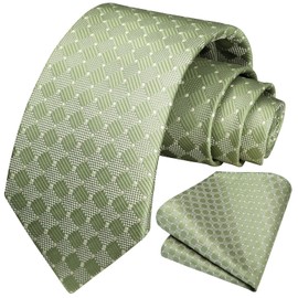 HISDERN Men's Tie Wedding Checked Ties Handkerchief Flowers Elegant Classic Tie & Pocket Square Set, sage green