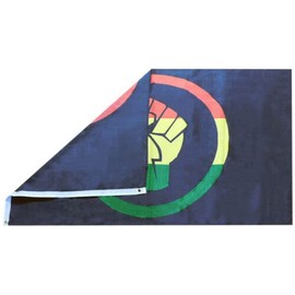 Black Lives Matter BLM Rasta Fist 100D Woven Poly Nylon 2x3 2'x3' Flag Banner