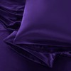 Aormenzy Satin Pillow Cases for Women King Size Set of