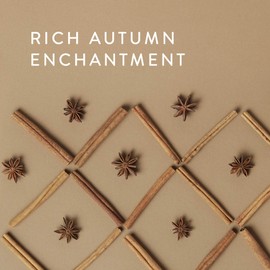 Thymes Simmered Cider Candle - 6.5 Oz