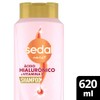 Sedal Shampoo Acido Hialuronico y Vit C, Botella 620ml