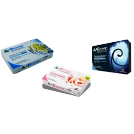 Treefrog Fresh Box Natural Air Car Air Freshener 3 Packs Set : Marine Squash, Black Squash and White Peach