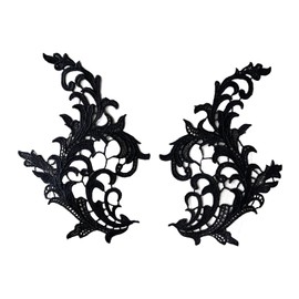 Colaxi 1 Pair Lace Appliques, Floral Embroidery Patches, Fine Sew on Flower Embroidery Appliques, Lace Trims for Clothes, Dress, Black