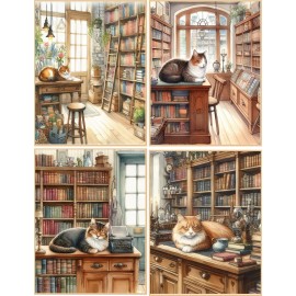 Handmade 8 Old Fashioned Book Store with Cats glossy blank fold out Note Card envelopes