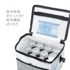 Asahi Kouyo Cooling Bag, Soft Cooler Bag, 3.8 gal (12