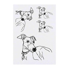 4 x 'Italian Greyhound Dog' Temporary Tattoos - Water Resistant, Skin-Safe, Non-Toxic Transfers, Mixed Sizes (TO00011040)