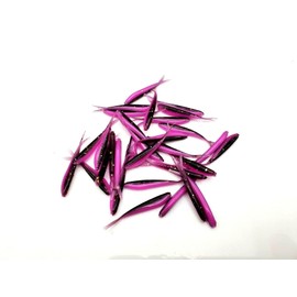 (30) Micro Split-Tail Minnow (1") Crappie Drop Shot Bluegill JIG Bait Black Pink