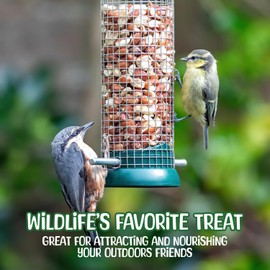 Sneaky Mango Premium Quality-50 Pound- Raw Peanuts in Shell – All-Natural Food for Squirrels, Deer, Birds, and Other Wildlife Animals – Bulk Wholesale Bag – Grown in The USA for Healthy Nutrition