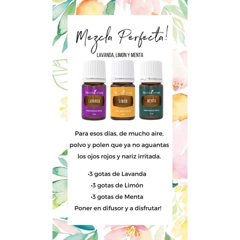 Kit Aceites Esenciales Lavanda, Limón Y Menta Young Living