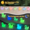 TAIXING Mini Ducks 100 Pieces, 10 Colours Mini Ducks Resin,