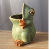 MONMOB Ceramic Frog Shaped Plant Pot Bonsai Flower Pot ucculent