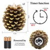 Zhitaoxun Pinecone Candles Flameless,Pine Cone Flameless Flickering Candles, Battery Operated