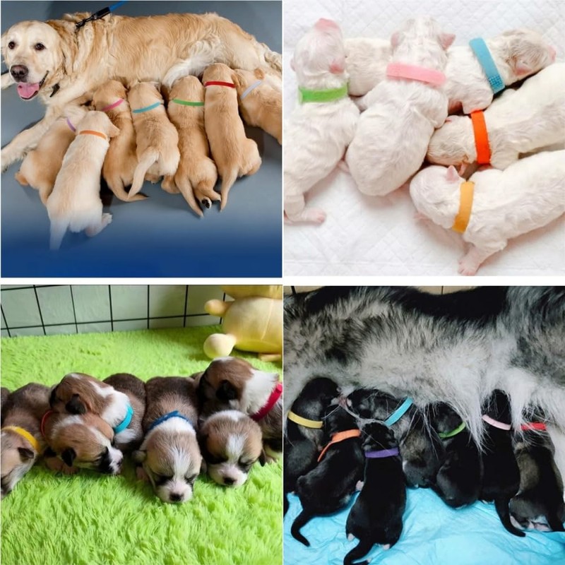 Fabselection Pet Identification Collars, Set of 15 Colors Newborn Pet