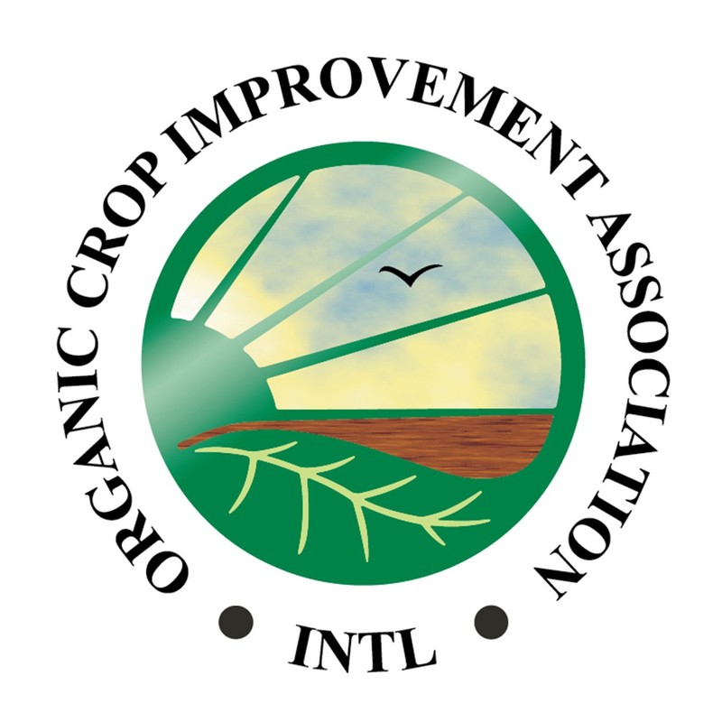 (3 Pack) Dancing Moon Coffee Mexican Chiapas Organic Whole Bean