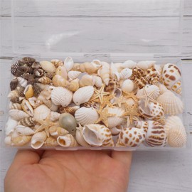 GraceAngie 1 Box 150PCS Small Tiny Sea Shells with Hole Mixed 11 Styles Beach Natural Seashell for DIY Jewelry Making, Home Decorations, Beach Theme Party, Fish Tank and Vase Fillers