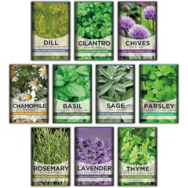 10 Kit Non-GMO Growing into Thyme, Lavender, Chamomile, Dill, Chives, Cilantro, Rosemary, Basil, Parsley, Sage Indoor/Outdoor for Kitchen Windowsill Gardening Gift