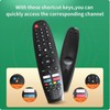 Voice Control Smart TV Remote Replacement for BLAUPUNKT, SANSUI, ORCA,