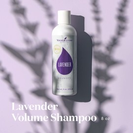 Young Living Lavender Volume Shampoo, 8 fl oz - Nourishes Hair from Root to Tip for Body & Shine | Lightweight, Silicone-Free | Healthy, Soft & Smooth