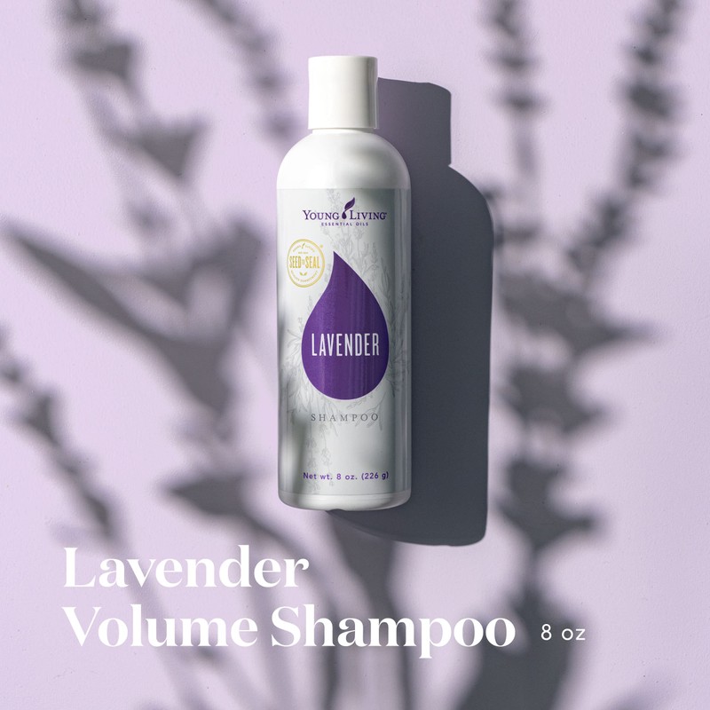 Young Living Lavender Volume Shampoo, 8 fl oz - Nourishes
