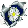 medium size Yorkshire Rose Flag Metal Rip Open Sticker