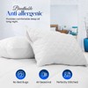 Sunshine Comforts Microfiber Pillow Protectors 4 pack Non-Iron Breathable, Soft