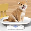 Cat Scale, Kitchen Accuracy Weighing Tool, Accurate Multifunctional Digital Scale