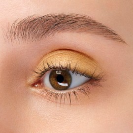 ANNA SUI Silky Eye Color 800