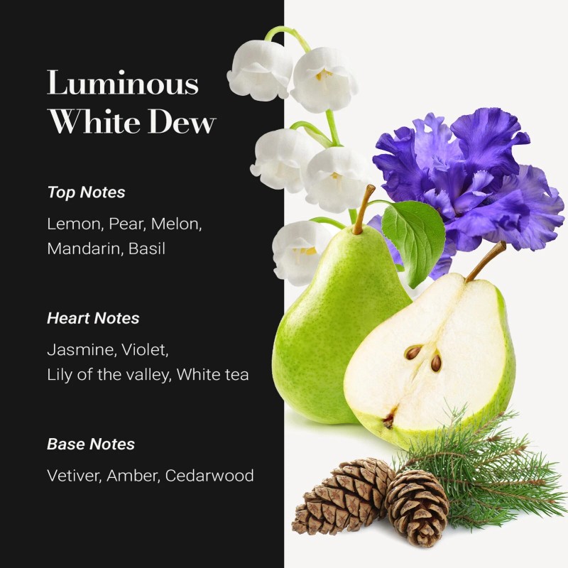 JCLOUD Hotel Diffuser Oil 16.9 Fl Oz (500mL) - Inspired