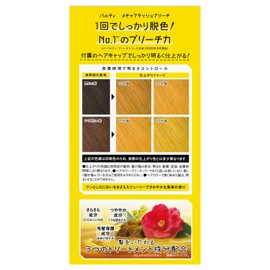 parti mecha flash bleach