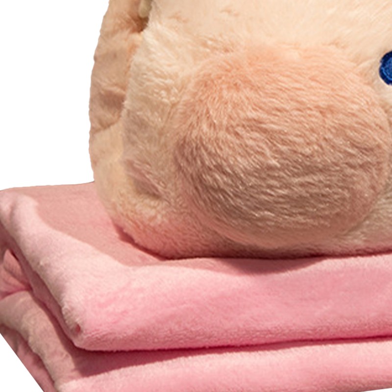 Stuffed Animals Travel Blanket Pillow Set Soft Plush Hugging Pillow