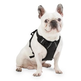 TOTTO - Heikul Dog Harness, Size S, Small Dog Harness, Adjustable, Reflective Details, Loop for Leash and Handle, Easy to Install, Lightweight, Black