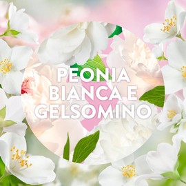 Air Wick Diffusore Elettrico di Oli Essenziali, 1 Diffusore completo gadget, 1 Ricarica per Diffusore Elettrico alla Fragranza Peonia Bianca e Gelsomino
