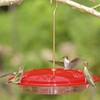 Aspects HummZinger Excel Hummingbird Feeder and Dome