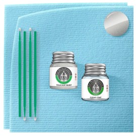 ERA Paints WA519F/GIY - Galaxy Silver Metallic for GMC Exact Match Automotive Touch Up Paint Jar - Essential Kit