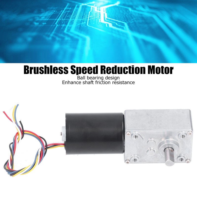 DC Brushless Worm Gear Motor High Torsion Low Noise Turbine