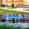 Joomer 12 Pack Solar Lights Outdoor Waterproof, Solar Pathway Lights