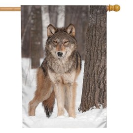 Moslion Wolf House Flag 28x40 Inch Wild Animal Wolves Snow Tree Trunk Winter Large Yard Garden Flag Double-side Banners for Patio Lawn Outdoor Decor