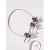 Kaine Lavender PDRN Revitalizing Toner 300ml [+Free 30ml mini lavender