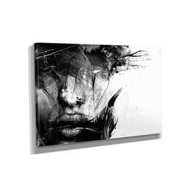 Abstract Black and White Female Face Canvas Art Wall Art Home Decor (45in x 30in Gallery Wrapped)