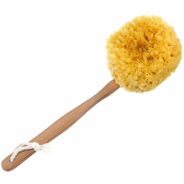 Long Handled Back Scrubber - Bath and Shower Natural Sea Sponge – Made with Exfoliating Caribbean Grass Sea Sponges – The Best Bath and Shower Back and Body Brush by SeaSationals