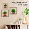 Kiera Grace Set of Three Cubbi Rustic & Timeless Decorative