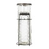 Creative Co-Op Glass vase in Metal Stand with Metal Frog