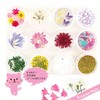 Princess-style Resin Parts, Dried Flower with Euphoria Nail Resin Pressed