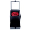 Sears Jewelry Case, Preserved Flowers, Roses, Diamond Rose, Antique Red