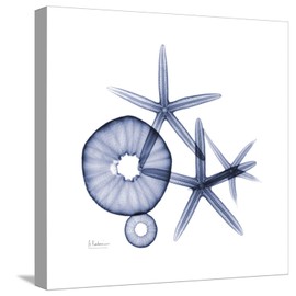 ART.COM Stretched Canvas Print Little Urchins by Albert Koetsier, 16" x 16"