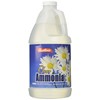 Austin's 00051 Clear Ammonia Multipurpose Cleaner - 64 Ounce