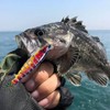 Realistic Fishing Lures | Practical Swimbait for Bass,Realistic Bass Fishing