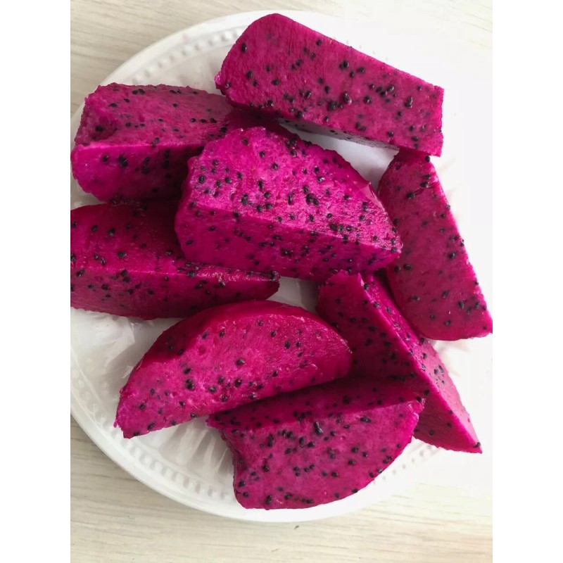 Cactus Red Dragon Fruit 2 Cutting 9-14" Hailey's Comet